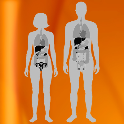 Digedtive system diseases
