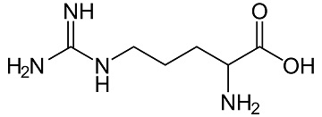 arginine sf