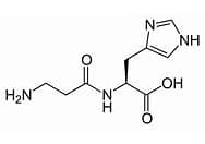 carnosine sf