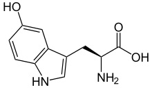 htp 5 sf