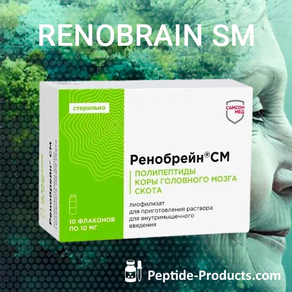 renobrain
