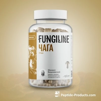 chaga