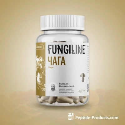 chaga