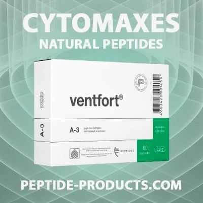 ventfort-60