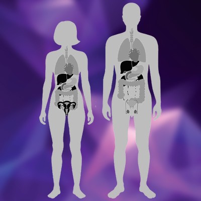 Decreasing Muscular Fatigue
