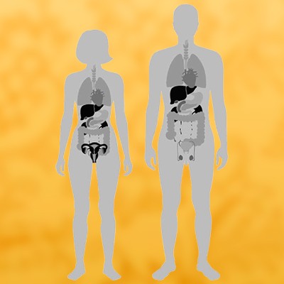 Nephritis (glomerular)